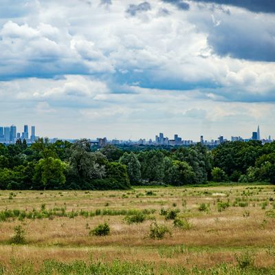 A park in London