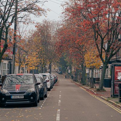 A street in London in autumn