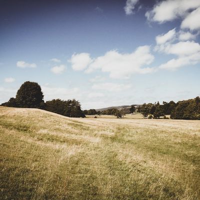 A field near Heanor