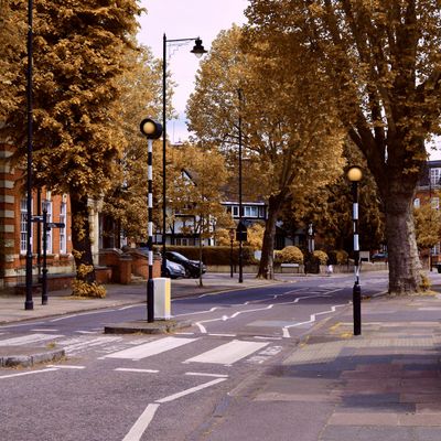 A leafy street in London