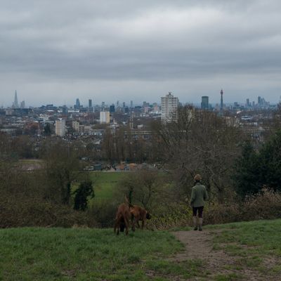 A park in London