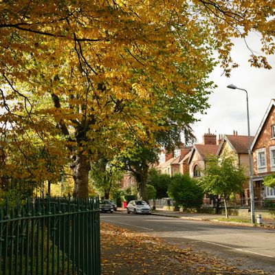 A nice street in London