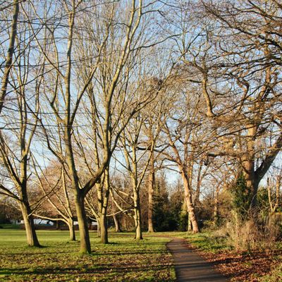 A park in London