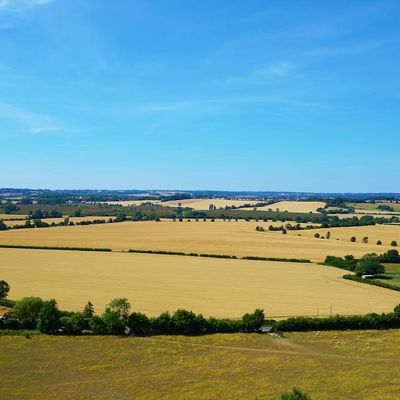 Fields near Kempston, Bedfordshire