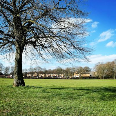 A park in Hertfordshire