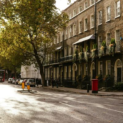 A leafy London street