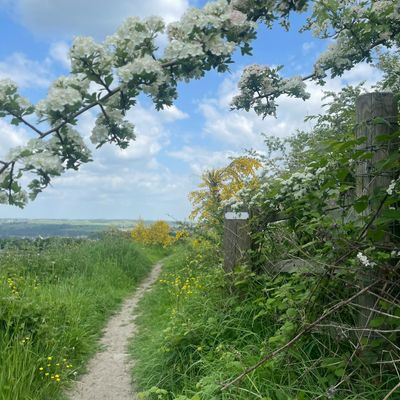 A path in the countryside near Normanton