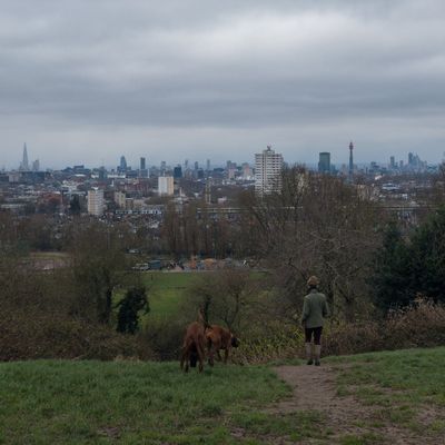 A woman in Hampstead Heath, North London
