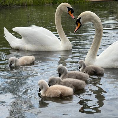 A personal trainer in Barnes. 