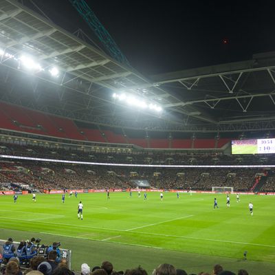 A personal trainer in Wembley. 