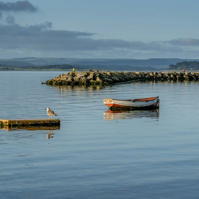 Poole