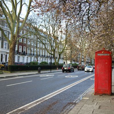 A tree with blossom in London