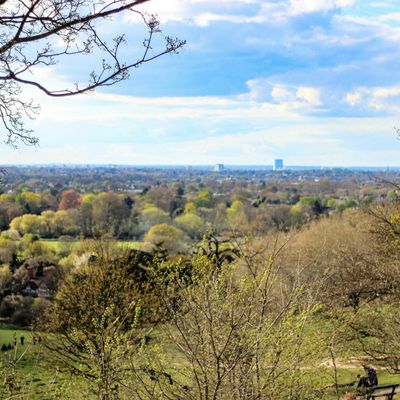 Richmond Park