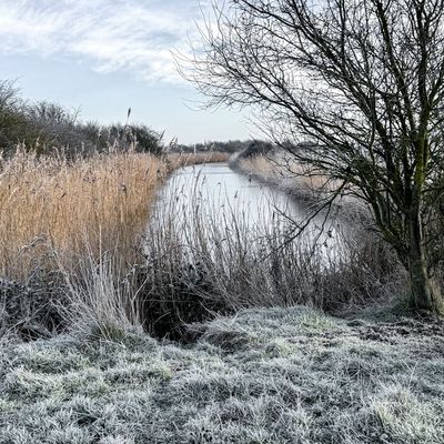 Frosty grass near South Ockendon