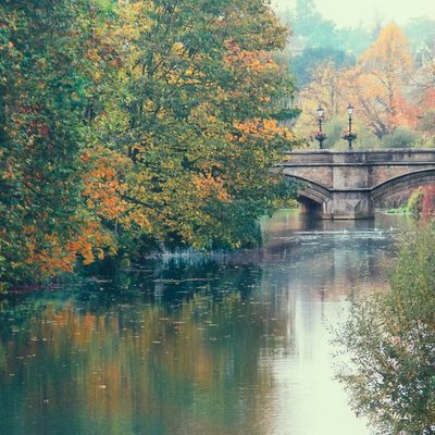 A river in Stamford