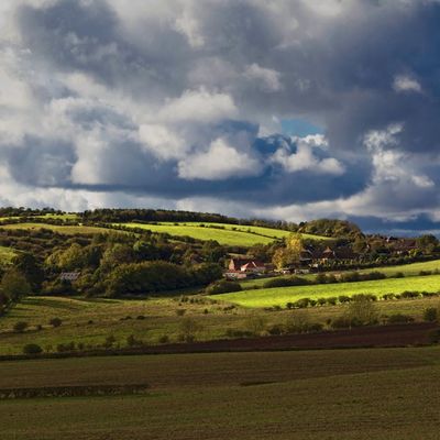 Fields near Stanley, County Durham