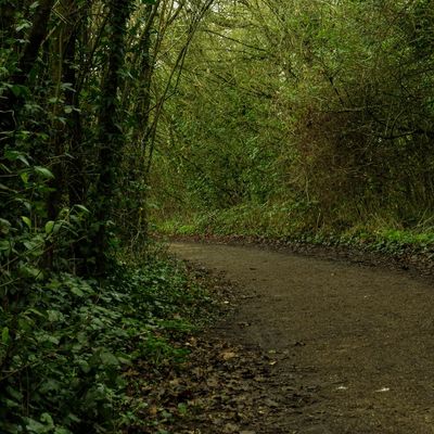 A path in Stubbington