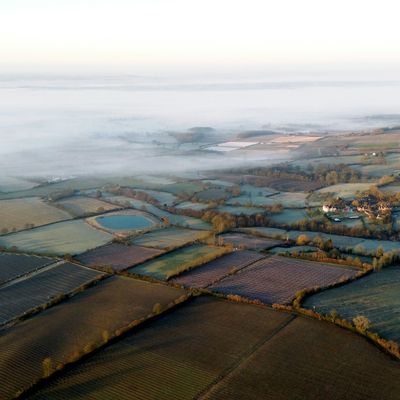 Fields near Swanscombe