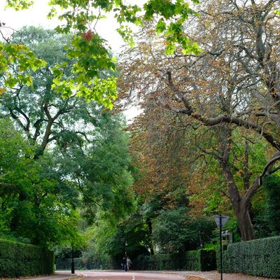 A park in London