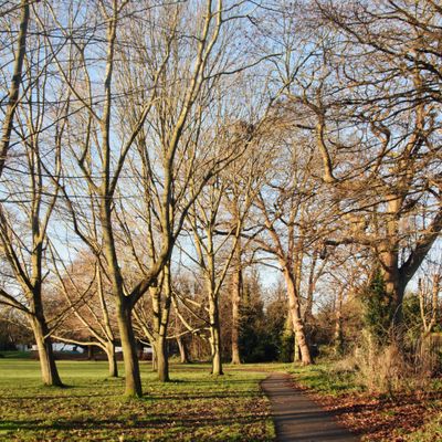 A personal trainer in Uxbridge. 