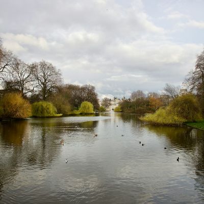 A park in London