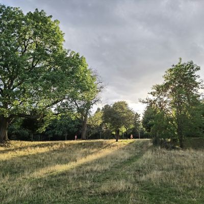 A park in Wandsworth