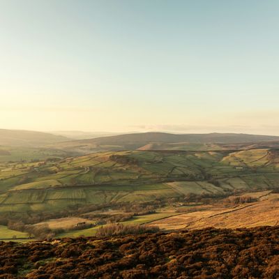 Countryside near Wombwell