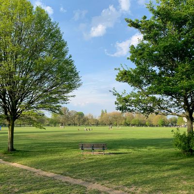 A park in London